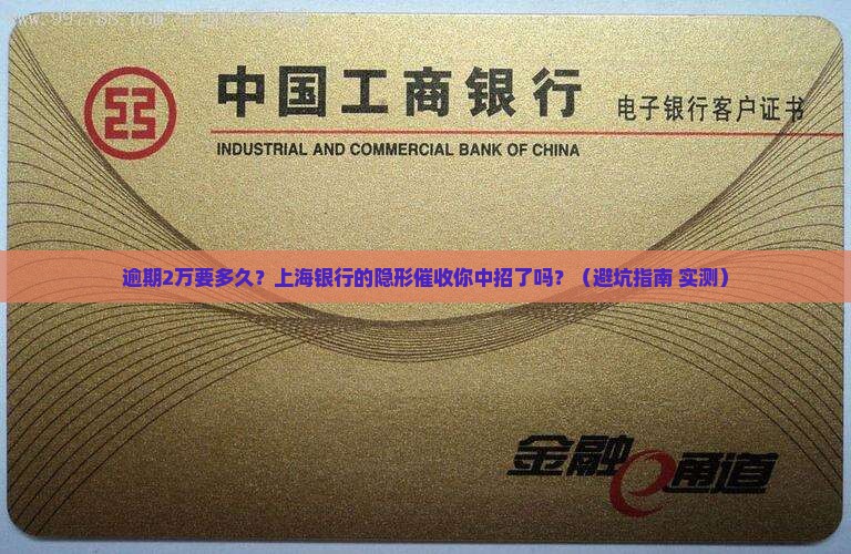 上海银行逾期2万多少天