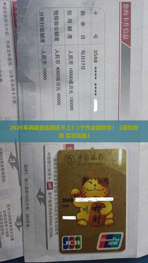 真融宝逾期了还不上怎么办应该怎么处理