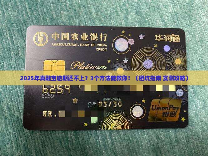 真融宝逾期了还不上怎么办应该怎么处理
