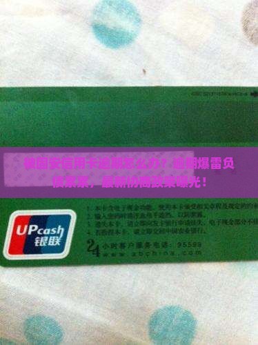 被固安信用卡逾期怎么办