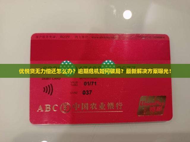 优悦贷无力偿还怎么解决