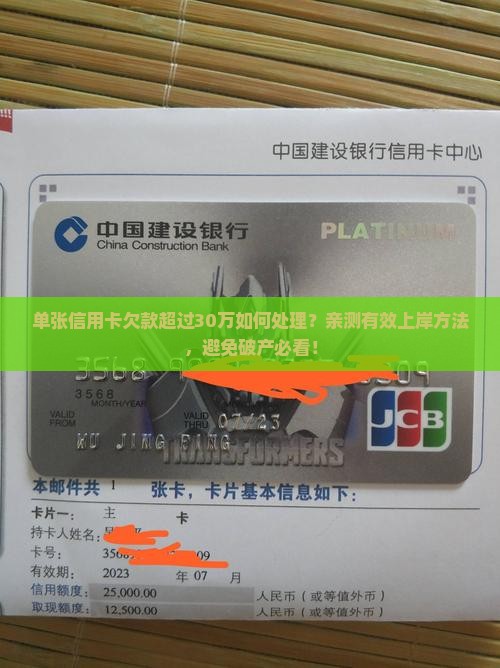 单张信用卡欠款超过30万如何处理