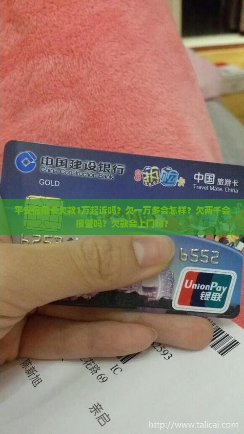 平安信用卡欠款1万起诉吗