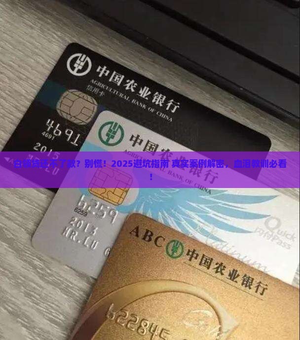白领贷还不了款