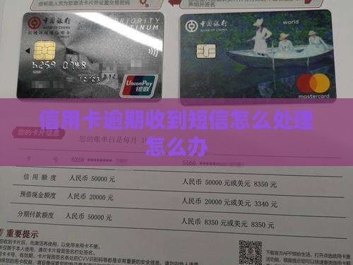 淮滨信用卡逾期发消息怎么办
