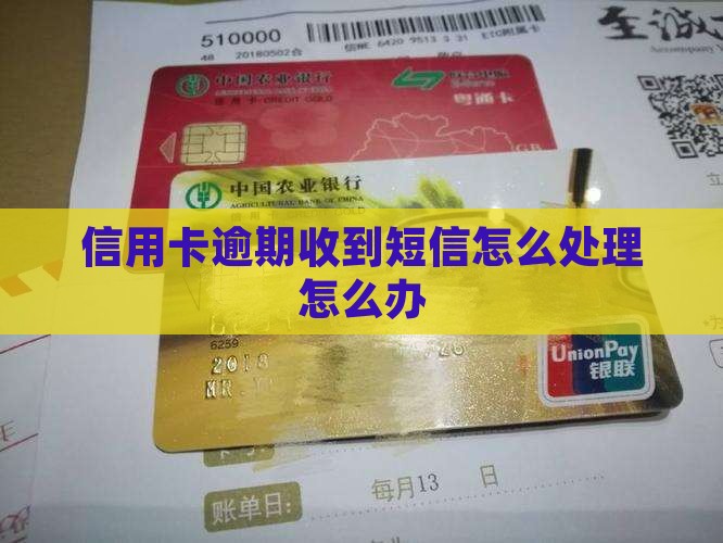 淮滨信用卡逾期发消息怎么办