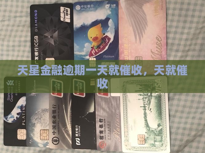 天星金融逾期一天就催收