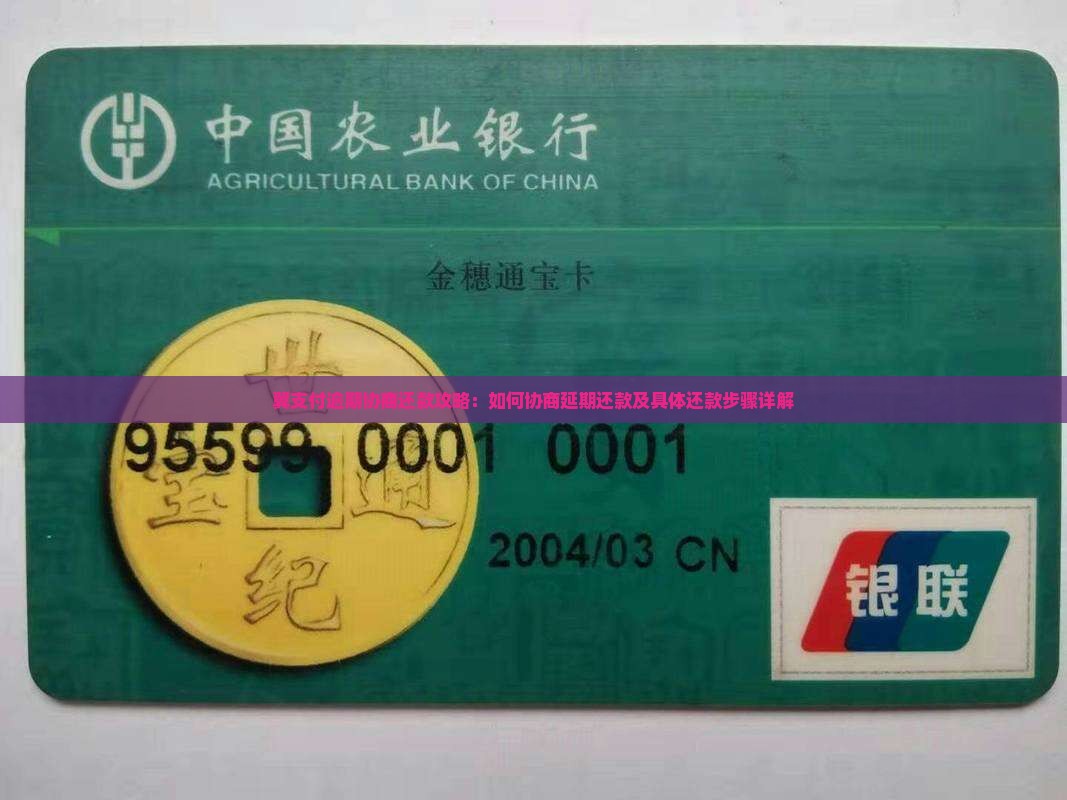 翼支付逾期协商还款攻略：如何协商延期还款及具体还款步骤详解