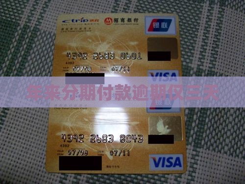 年来分期付款逾期仅三天
