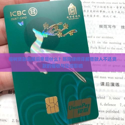 榕树贷款逾期后果是什么？陈阳律师详解借款人不还贷款的催收与征信影响