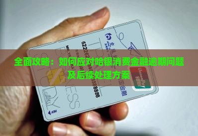 全面攻略：如何应对哈银消费金融逾期问题及后续处理方案