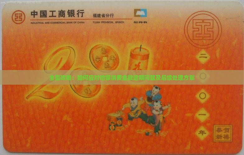 全面攻略：如何应对哈银消费金融逾期问题及后续处理方案