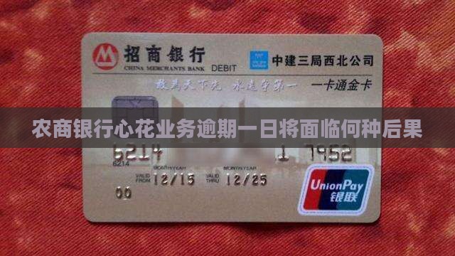 农商银行心花业务逾期一日将面临何种后果