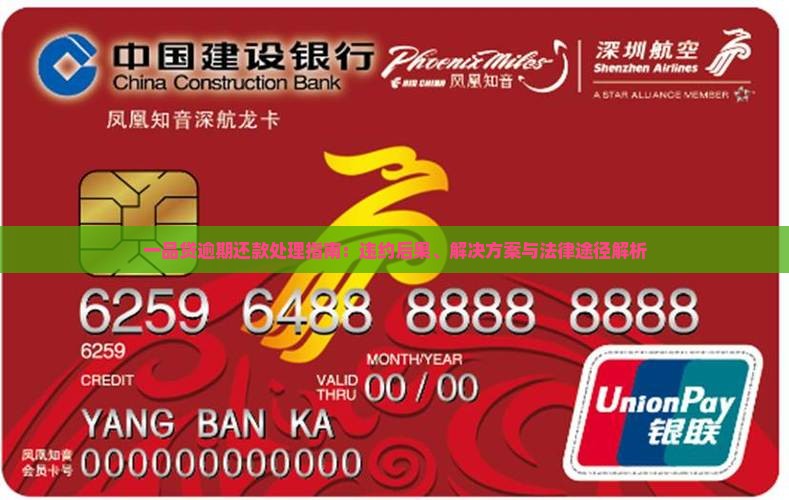 一品贷逾期还款处理指南：违约后果、解决方案与法律途径解析