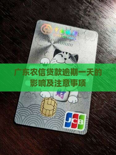 广东农信贷款逾期一天的影响及注意事项