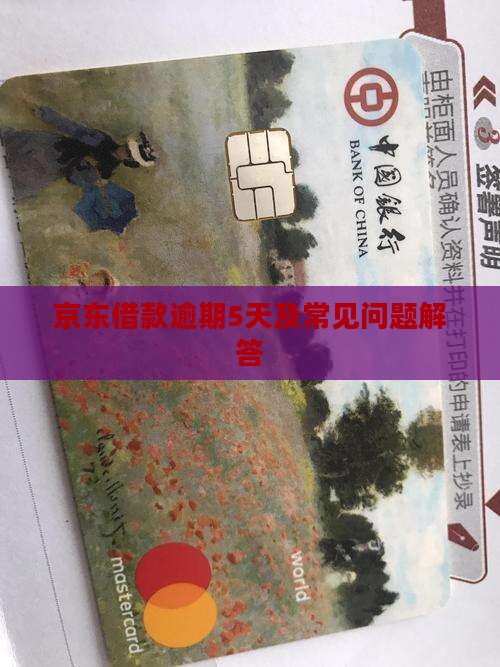 京东借款逾期5天及常见问题解答
