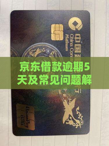 京东借款逾期5天及常见问题解答