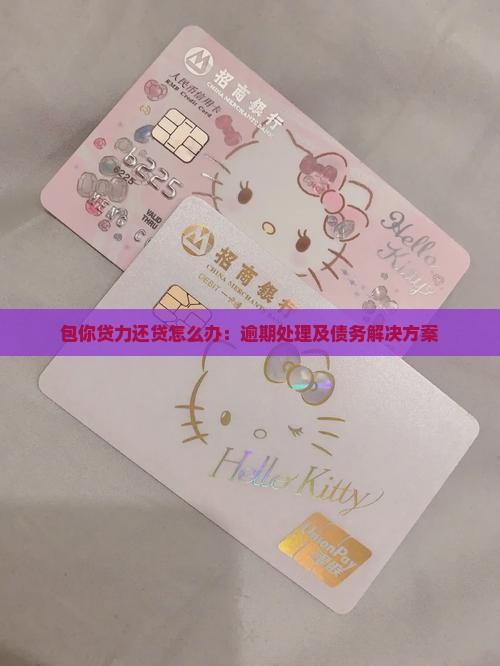 包你贷力还贷怎么办：逾期处理及债务解决方案