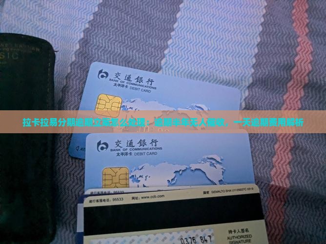 拉卡拉易分期逾期立案怎么处理：逾期半年无人催收，一天逾期费用解析