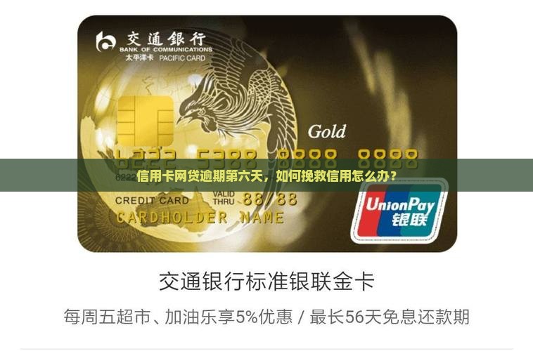 信用卡网贷逾期第六天，如何挽救信用怎么办？