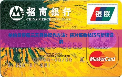 拍拍贷停催三天具体操作方法：应对催收技巧与步骤详解