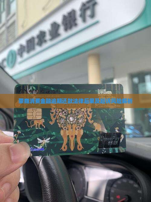 蒙商消费金融逾期还款法律后果及起诉风险解析