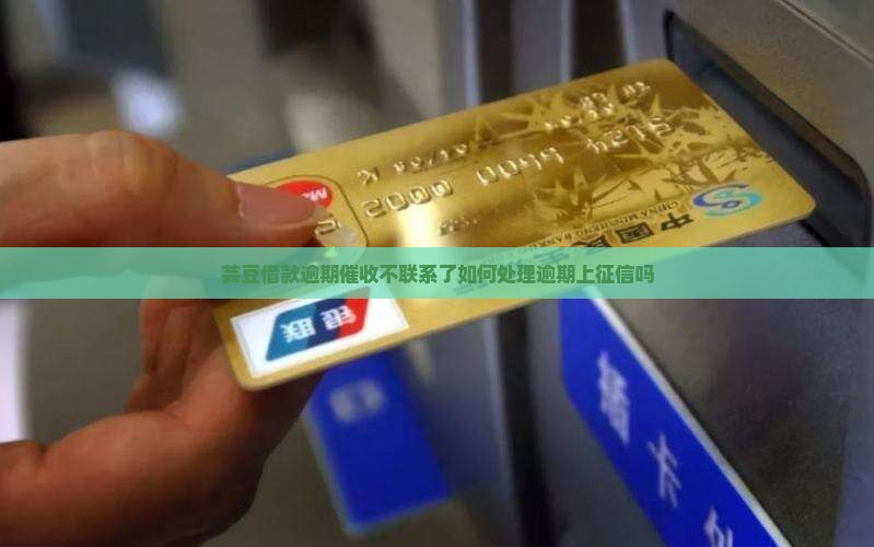 芸豆借款逾期催收不联系了如何处理逾期上征信吗