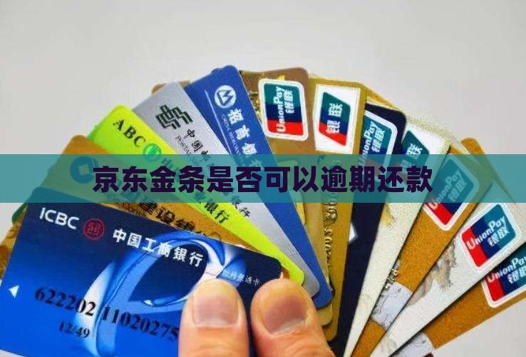 京东金条是否可以逾期还款