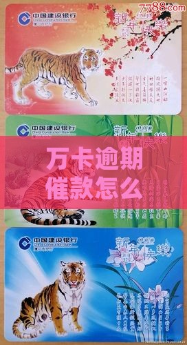 万卡逾期催款怎么办真实吗催款电话