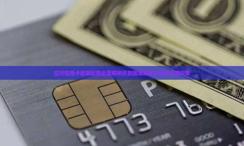 应对信用卡逾期起撕全面解析还款困境解决方案与法律对策