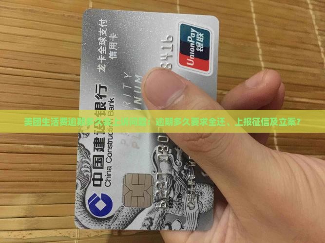 美团生活费逾期多久会上诉问题：逾期多久要求全还、上报征信及立案？