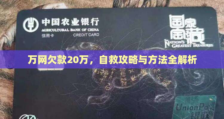 万网欠款20万，自救攻略与方法全解析