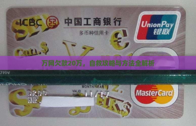 万网欠款20万，自救攻略与方法全解析