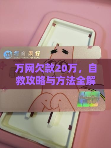 万网欠款20万，自救攻略与方法全解析