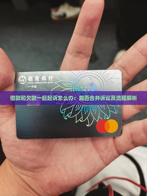 借款和欠款一起起诉怎么办：能否合并诉讼及流程解析