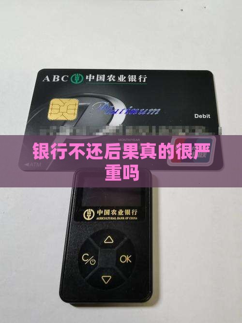 银行不还后果真的很严重吗 银行不还后果真的很严重吗