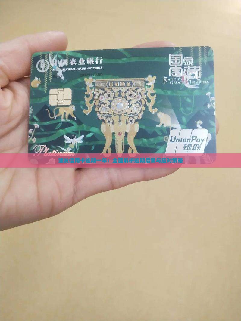 浦发信用卡逾期一年：全面解析逾期后果与应对策略