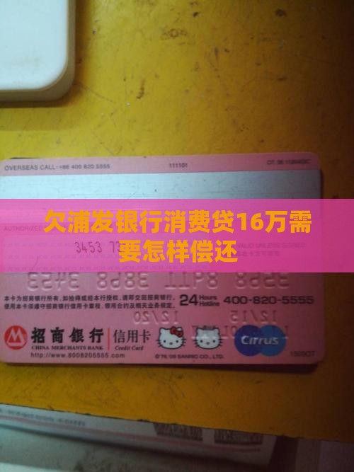 欠浦发银行消费贷16万需要怎样偿还