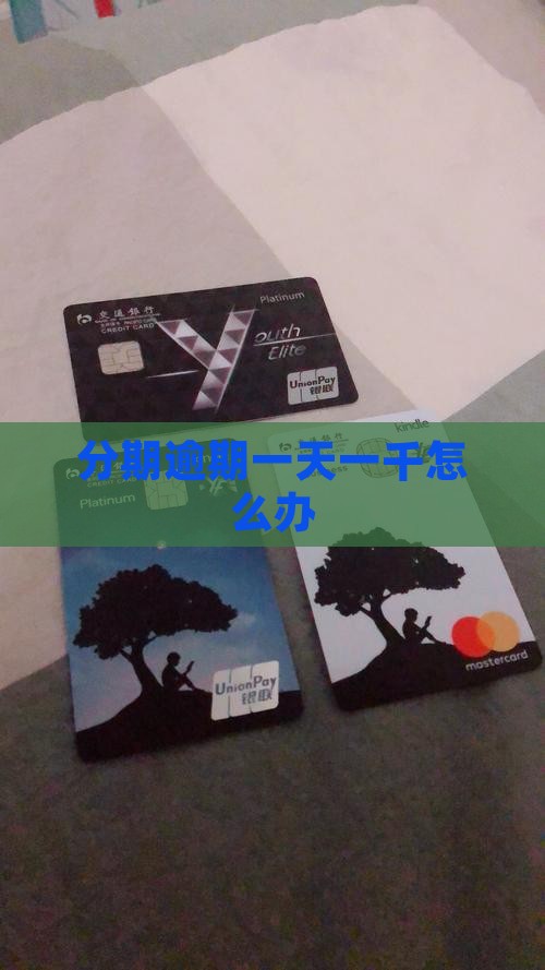 分期逾期一天一千怎么办