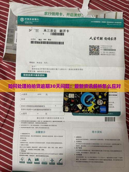 如何处理拍拍贷逾期30天问题：最新资讯解析怎么应对