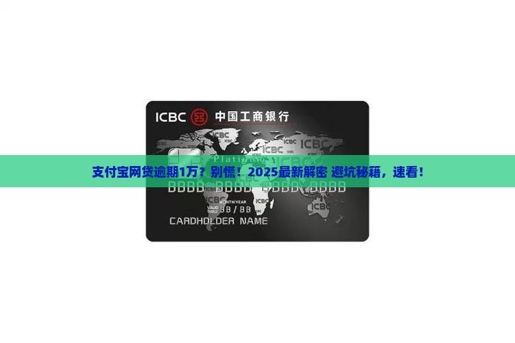 支付宝网贷逾期10000怎么办