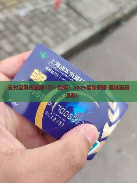 支付宝网贷逾期10000怎么办