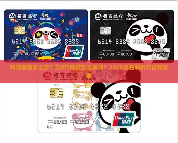 欠4万网贷怎么办网贷如何解决