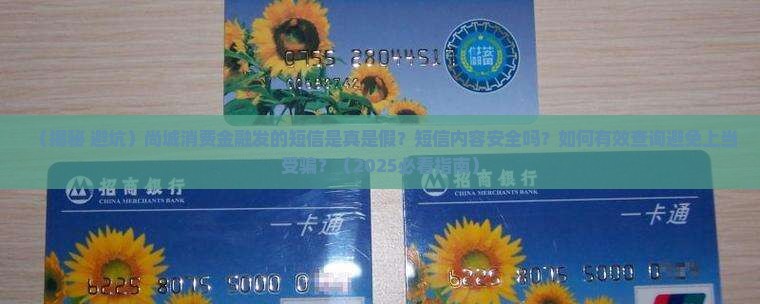 尚城消费金融发的短信真假查询