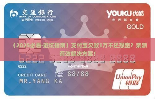 支付宝欠款1万不还怎么办