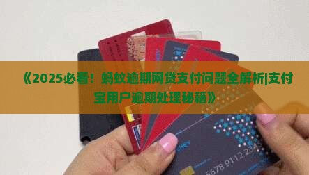 蚂蚁借贷延迟怎么处理