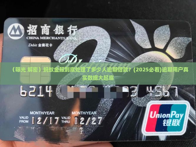 蚂蚁金服处理了多少人逾期借款