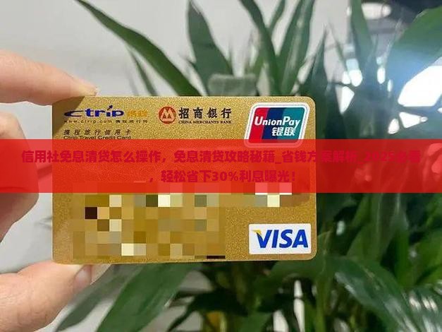 信用社免息清贷怎么操作