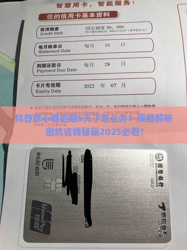 抖音放心借逾期了5天怎么处理