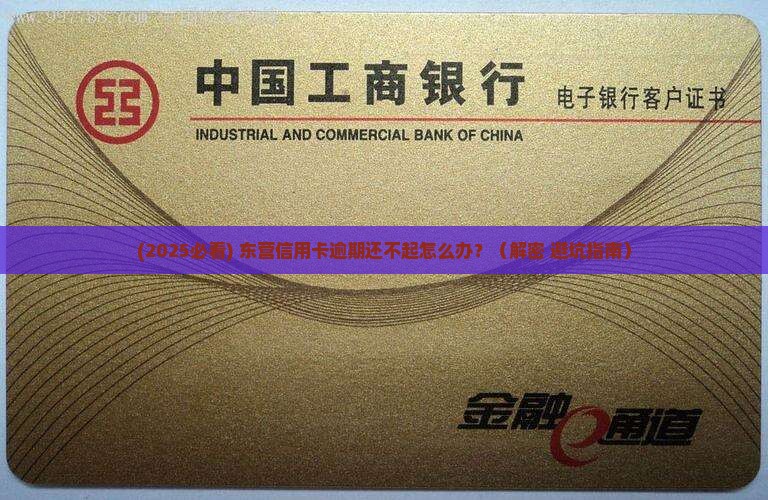 东营信用卡逾期还不起怎么办如何解决